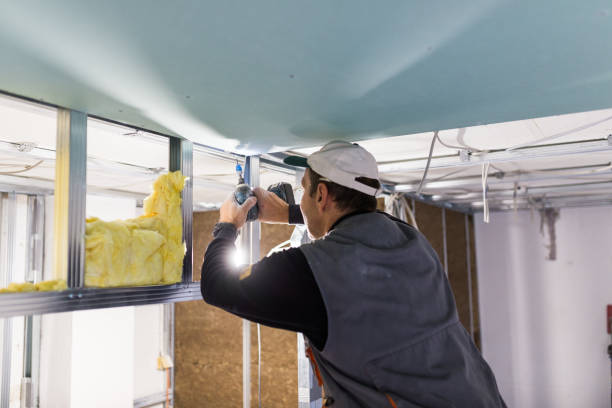 Best Insulation Contractors for Homes  in Orange Lake, NY
